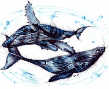 Blue Whales. Framed size 950x745mm