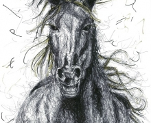 Horse. Framed size 450x575mm