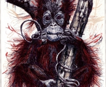 Ranga Sitting. Framed size 580x755mm